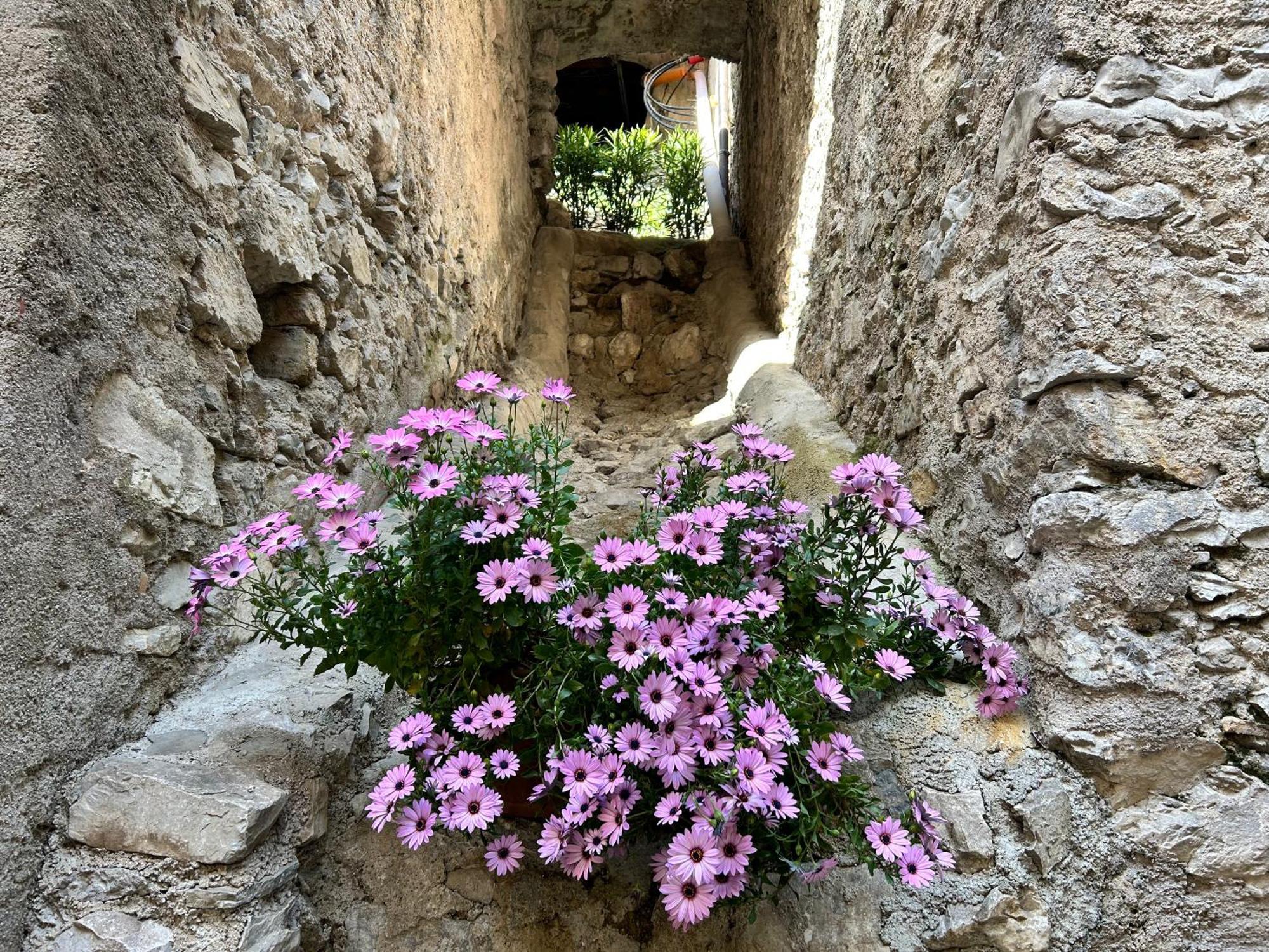 ليمونِ سول غاردا Studios Al Castello Dei Limoni المظهر الخارجي الصورة